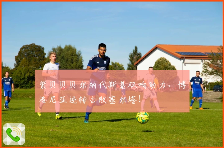 紫贝贝贝尔纳代斯基双响助力，博洛尼亚逆转击败塞尔塔！